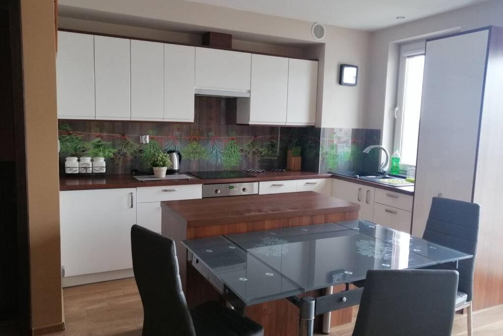 Komfortowy Apartament Dla Turystow I Pracownikow กดัญสก์ ภายนอก รูปภาพ